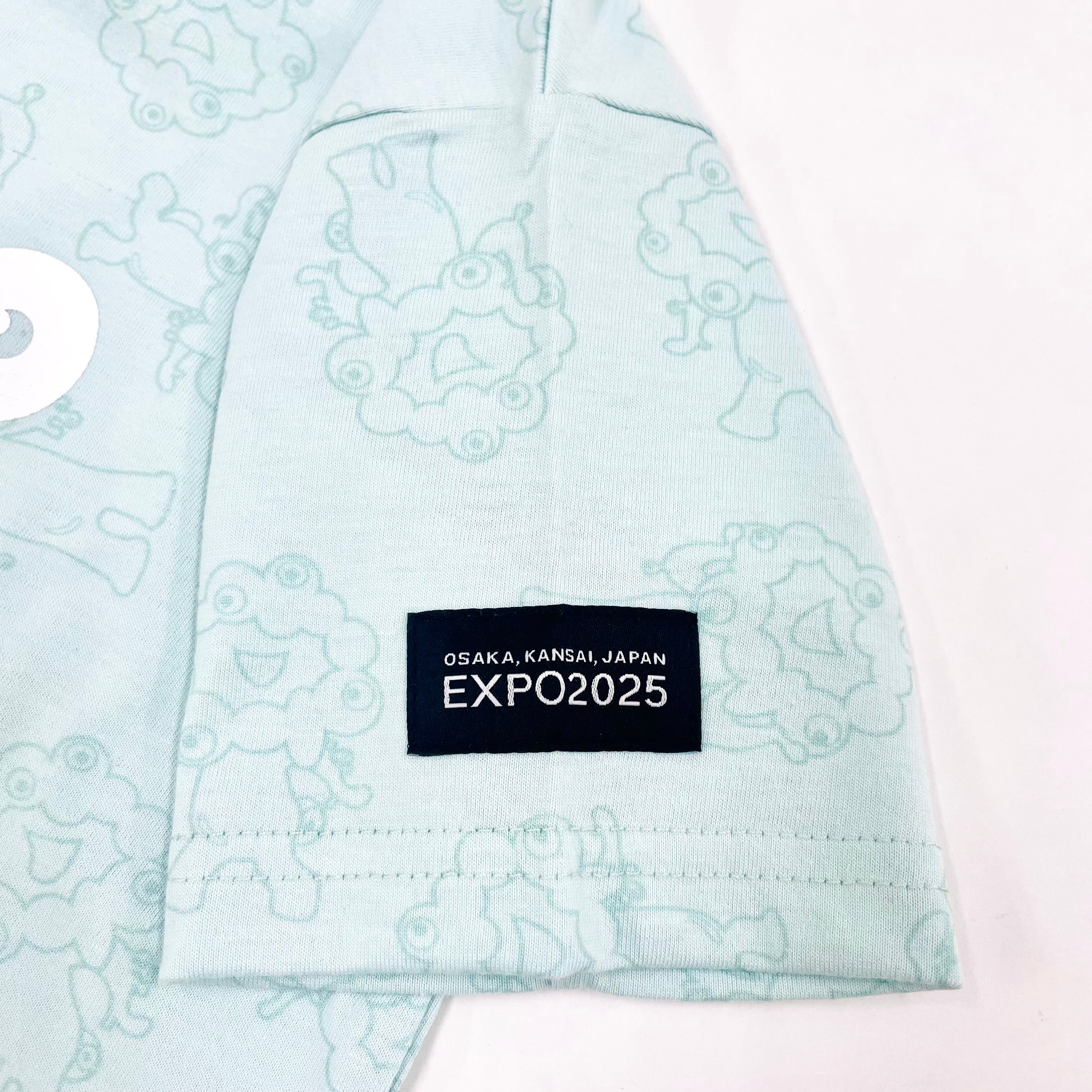 希少品　EXPO2025 ミャクミャク パステルカラー　ブルーとピンクセット EXPO2025 ミャクミャク カラーマスコット ブルーとピンク 2体